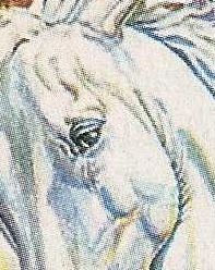 Subliminal image 135