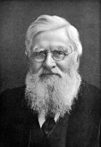 Alfred Russel Wallace