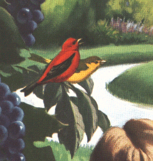 Maxwell's original image 1