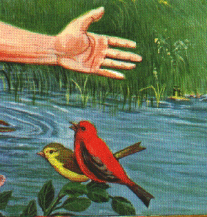 Image plagiarized by Watchtower 1